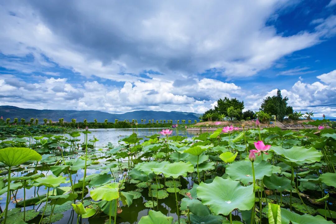 国内最适合“躺平”的城市：四季如春！房价不输鹤岗，6W买一套！5点下班，却有不少人逃离...
