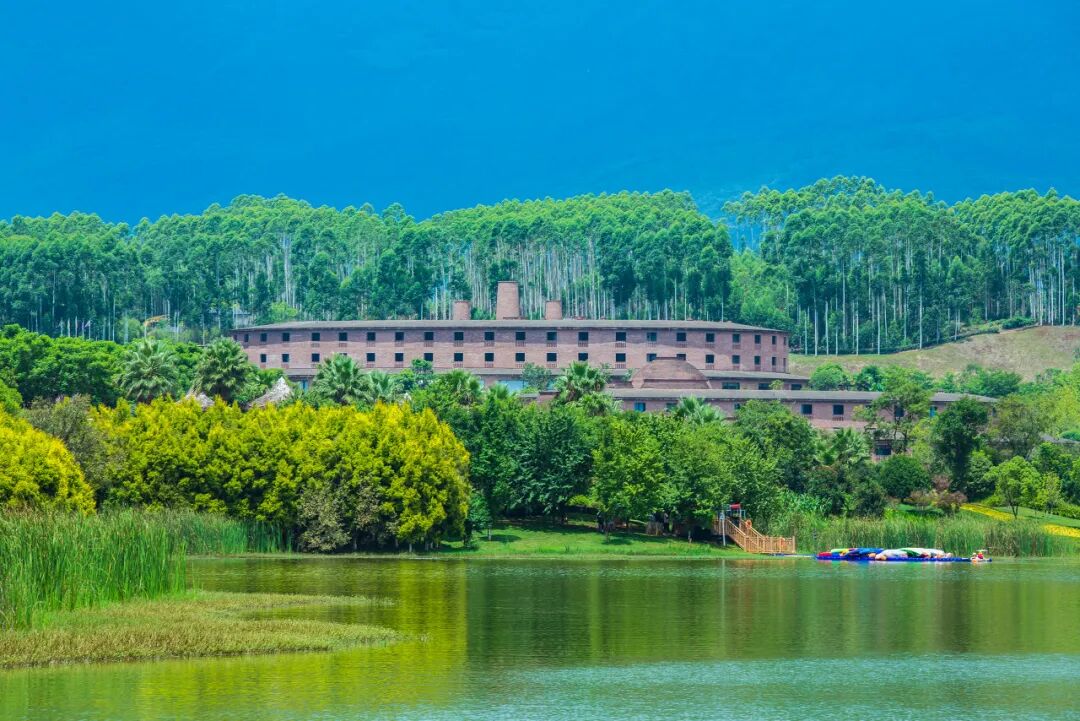 国内最适合“躺平”的城市：四季如春！房价不输鹤岗，6W买一套！5点下班，却有不少人逃离...