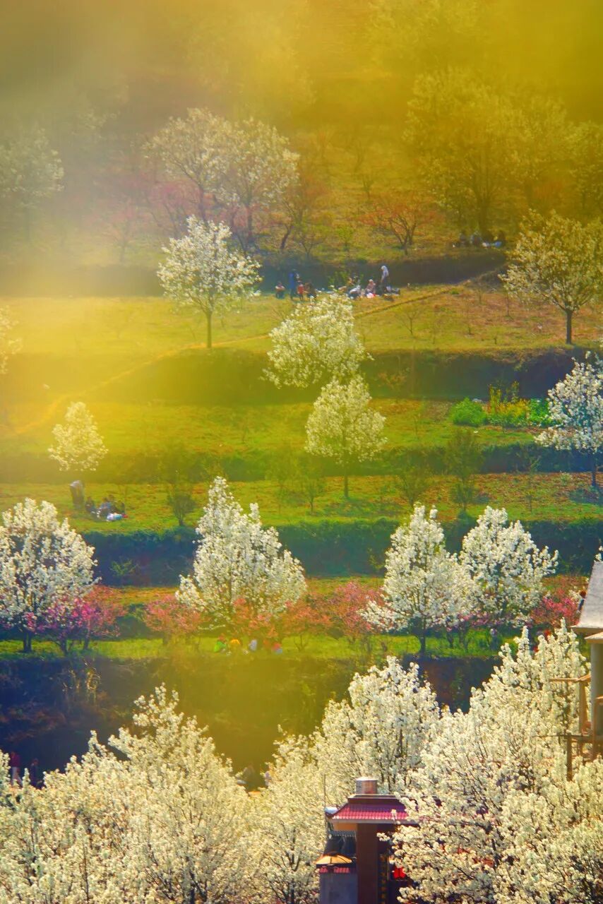 国内最适合“躺平”的城市：四季如春！房价不输鹤岗，6W买一套！5点下班，却有不少人逃离...