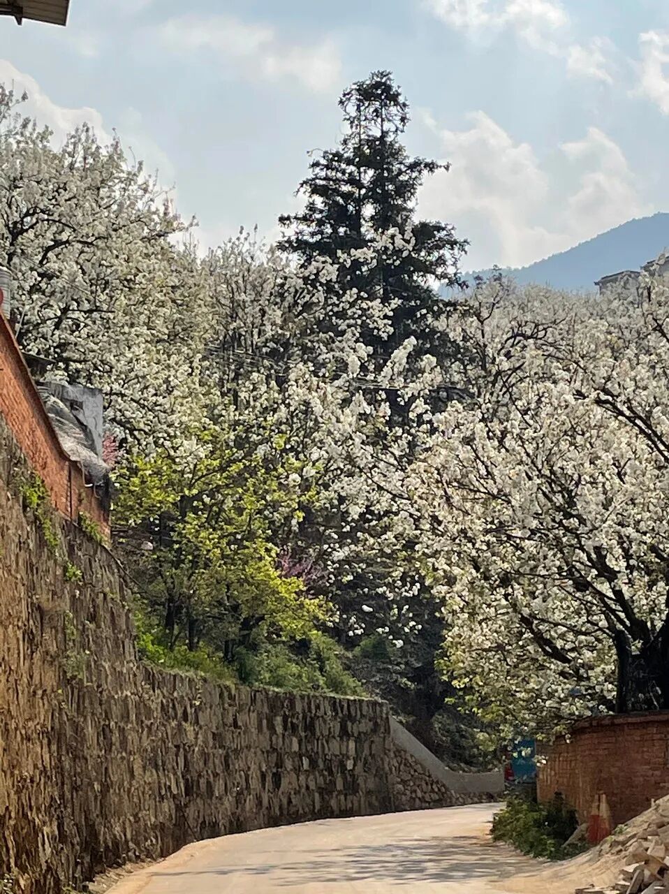 国内最适合“躺平”的城市：四季如春！房价不输鹤岗，6W买一套！5点下班，却有不少人逃离...