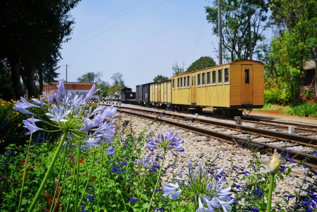 国内最适合“躺平”的城市：四季如春！房价不输鹤岗，6W买一套！5点下班，却有不少人逃离...