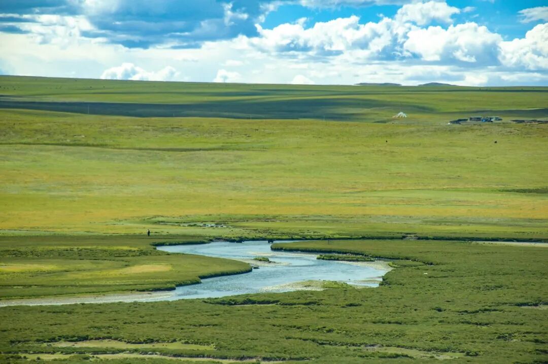 中国唯一没有“树”的城市：种活一棵奖励30万！比韩国大3倍，景色绝美，却无人敢去......