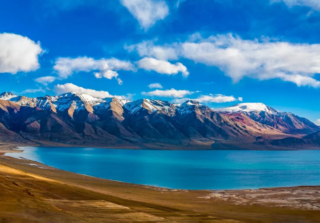 中国唯一没有“树”的城市：种活一棵奖励30万！比韩国大3倍，景色绝美，却无人敢去......