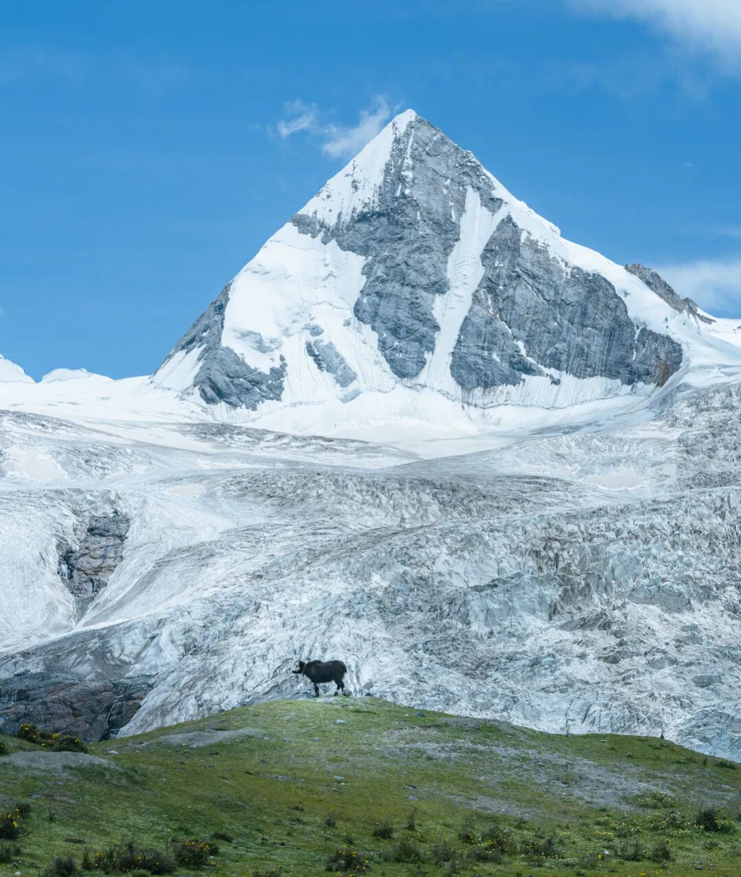 中国唯一没有“树”的城市：种活一棵奖励30万！比韩国大3倍，景色绝美，却无人敢去......