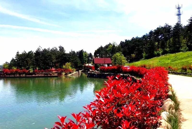 黄岩国家aaa级旅游景区——大寺基景区已经上线!