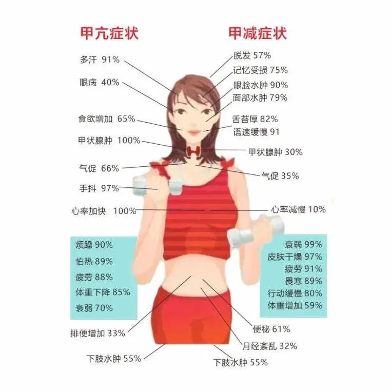 脱发严重可能是甲状腺的问题？甲亢还是甲减如何辨认