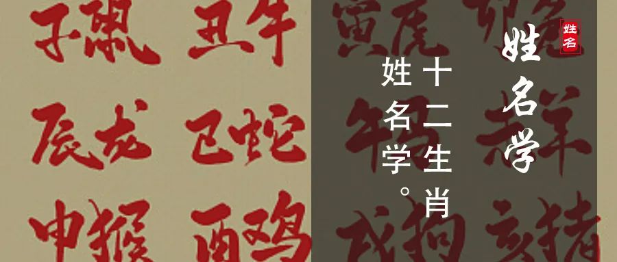 护院的动物十二生肖_十二生肖看家守院_看家护院是什么生肖动物