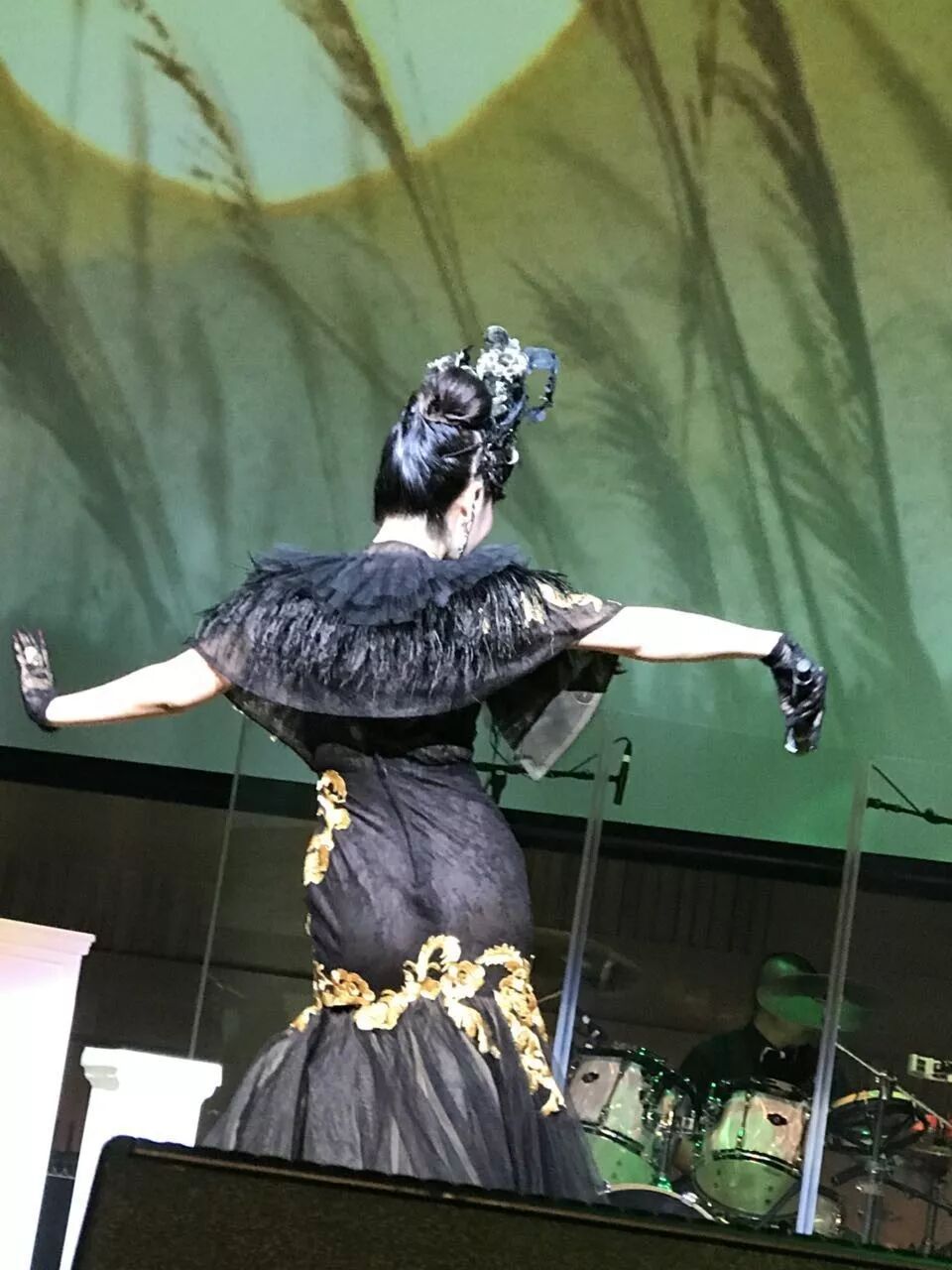 %name 大爱 · 美美澳洲华人歌后慈善演唱会圆满成功！