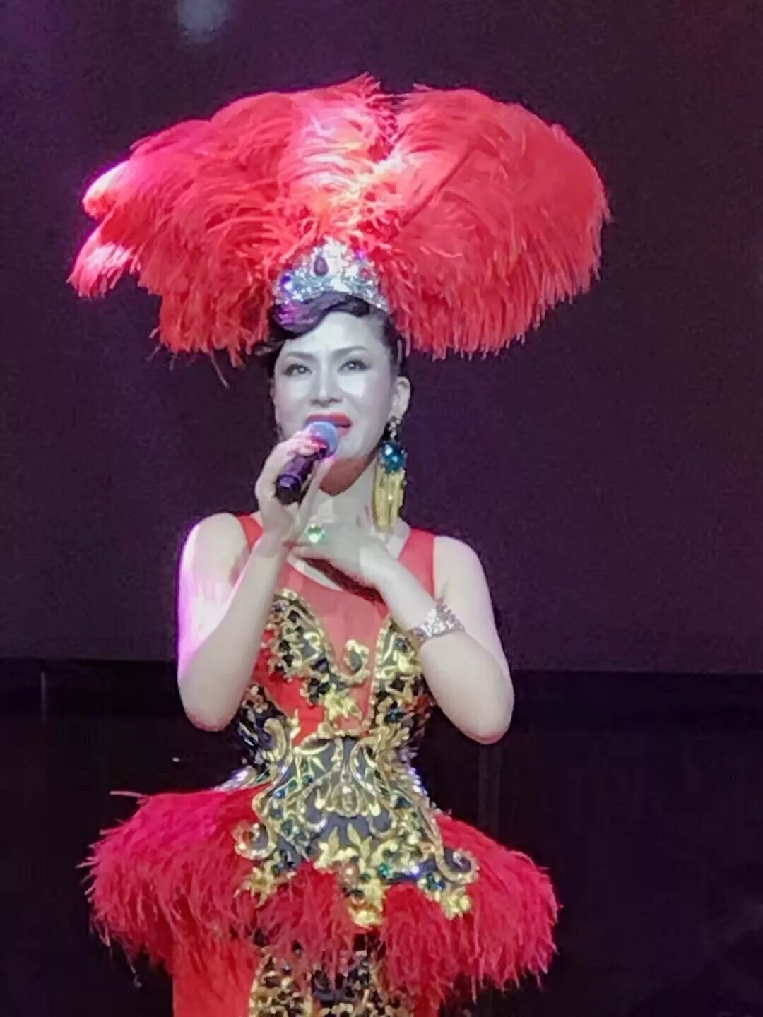 %name 大爱 · 美美澳洲华人歌后慈善演唱会圆满成功！