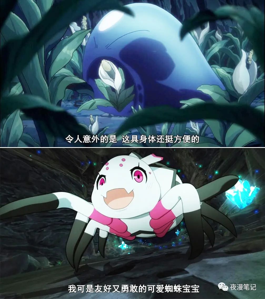 穿越到萌王的世界主角是蜘蛛子
