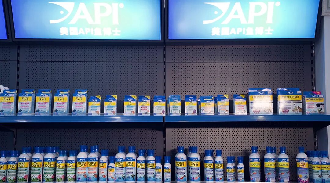 视频|  广州国志水族介绍篇(广州 水族店)