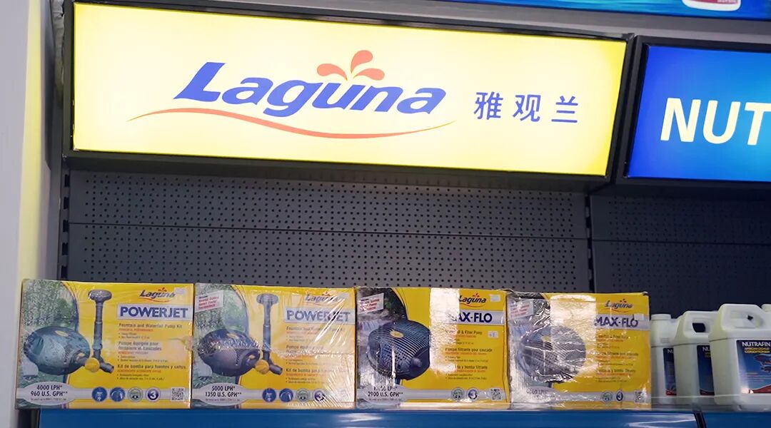 视频|  广州国志水族介绍篇(广州 水族店)