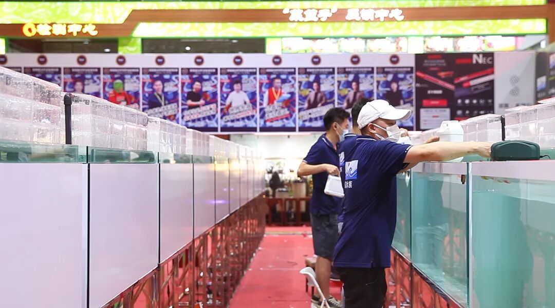 视频|  广州国志水族介绍篇(广州 水族店)