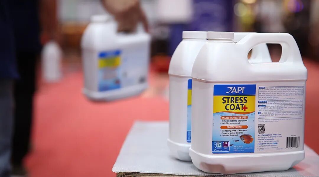 视频|  广州国志水族介绍篇(广州 水族店)