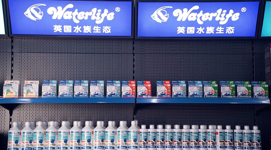 视频|  广州国志水族介绍篇(广州 水族店)