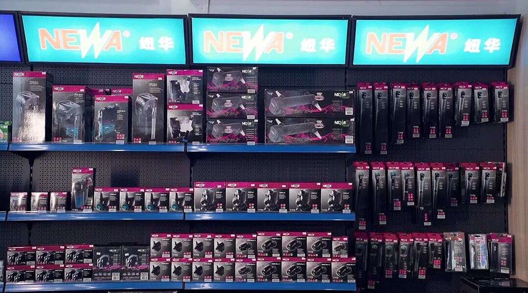 视频|  广州国志水族介绍篇(广州 水族店)