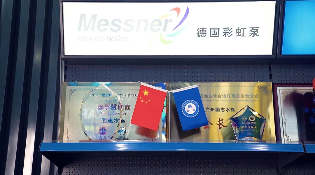 视频|  广州国志水族介绍篇(广州 水族店)