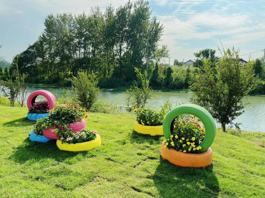 特色田园乡村丨广陵区头桥镇九圣村产业生态内外兼修宜居宜业尽显和美