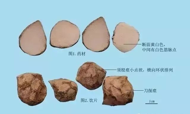 三棱