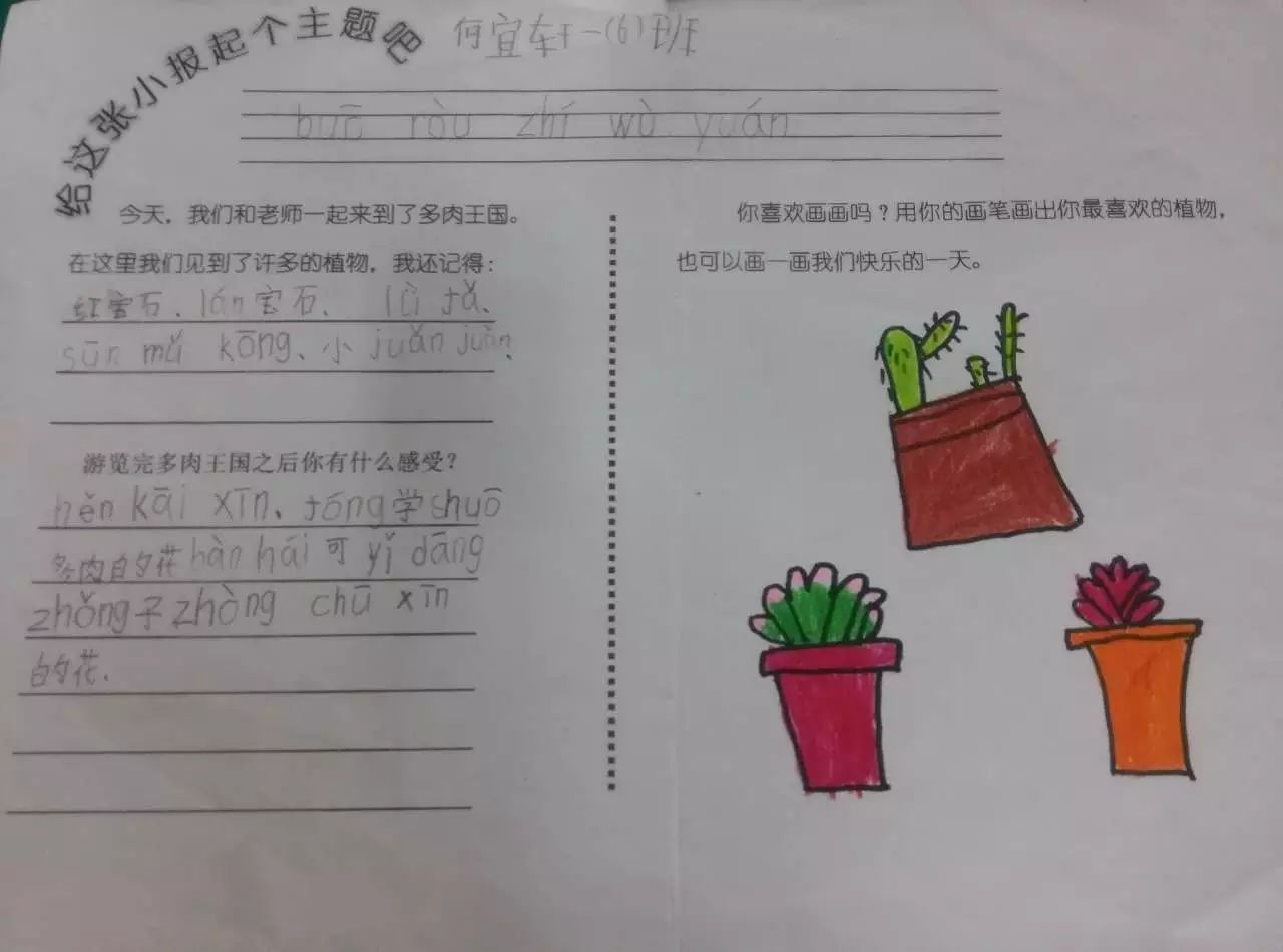 幼儿园多肉观察记录表图片