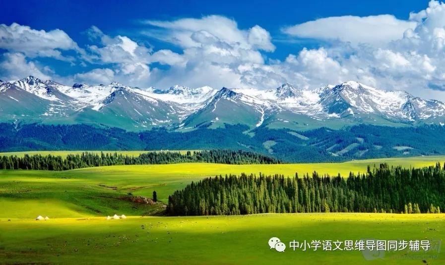 人教版四年级语文《七月的天山》思维导图欣赏 人教版四年级语文《七月的天山》思维导图欣赏