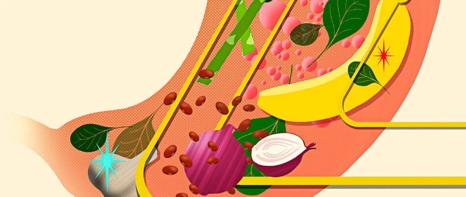 孩子瘦小，大便有未消化的食物，肠胃虚弱，有没有办法调理一下？