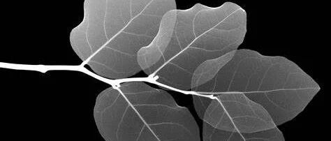 花了那么多钱，做了这么多检查，怎么还没查出啥病？