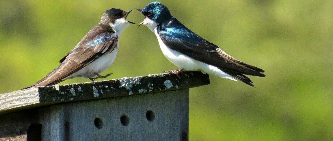 孩子感冒，家人就是要喂感冒药，该如何解释？