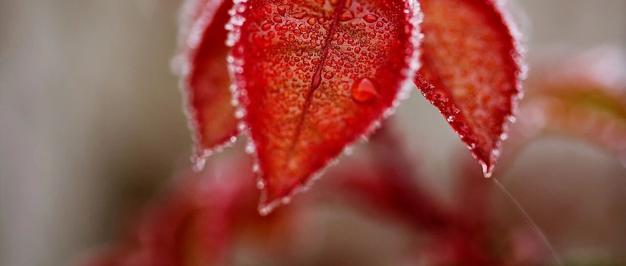 中医西医都是治病救人，为什么不能包容并进？