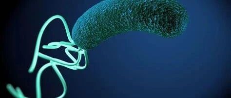 做完幽门螺杆菌C14呼气试验后，发现自己怀孕了，孩子还能要吗？