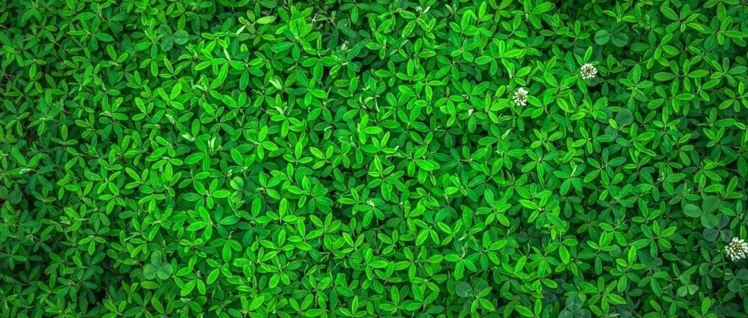 宝宝的大便有时黄有时绿，要紧吗？