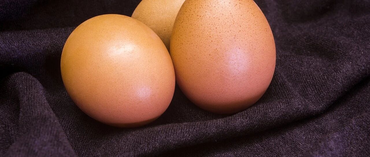 孩子蛋蛋不一样大，有问题吗？