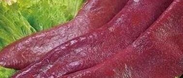 孩子总感冒，可以吃脾氨肽吗？