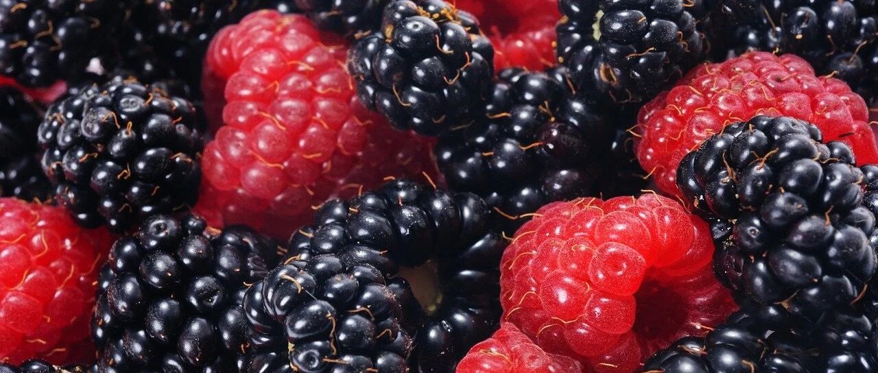 我是不是不够“循证”？