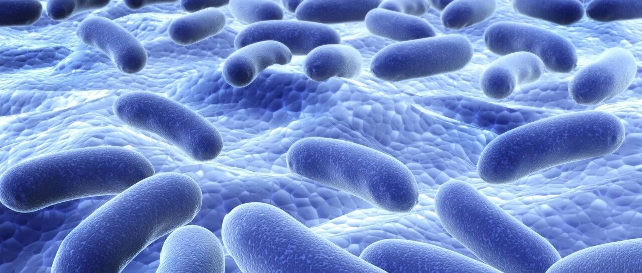 母婴店里卖的，和医生开的益生菌，都可以吃吗？