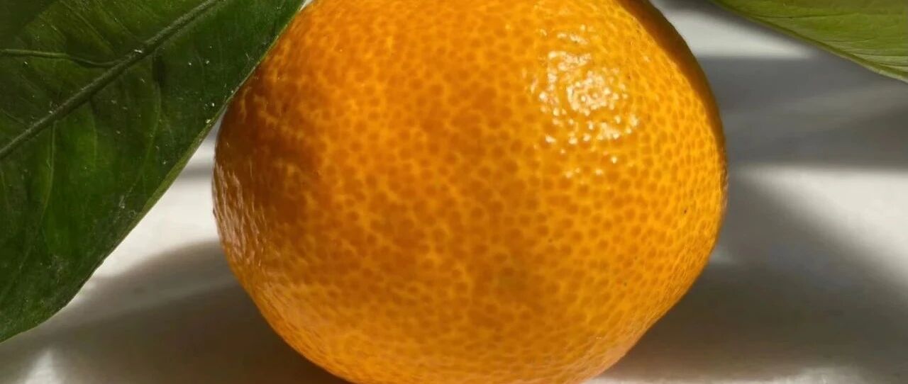 精油淋巴排毒是智商税吗？