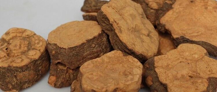 这种伤肝甚至致命的植物，一些人还在用它炖鸡