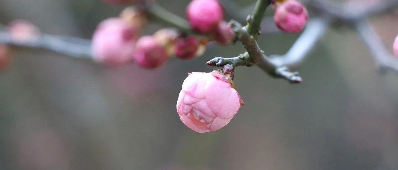 带娃过年，孩子不愿意喊人怎么办？