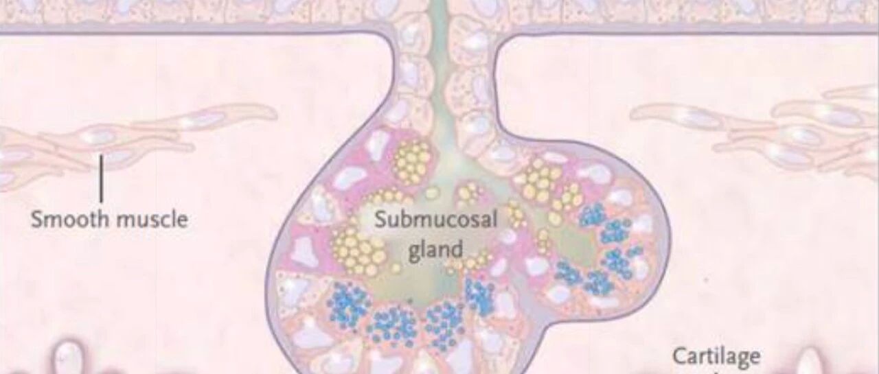 孩子咳嗽有痰，不用易坦静用什么？