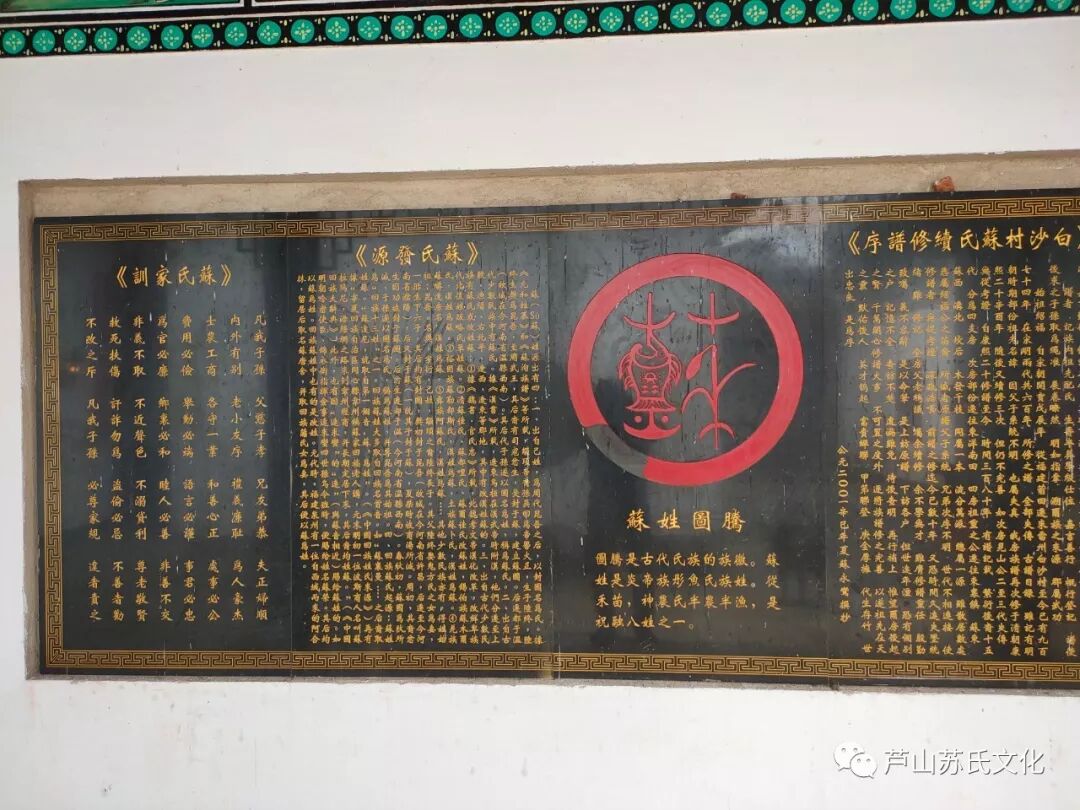 恳亲睦族情牵闽粤 湛江市东海岛 遂溪县 廉江市 雷州市等地对接族谱 芦山苏氏文化 微信公众号文章阅读