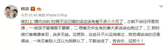 婚内出轨被洗白成真心相爱？撒谎精何洁啊，你可要点脸吧！（组图） - 56