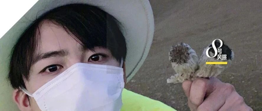 频频上热搜，靠的是道歉？