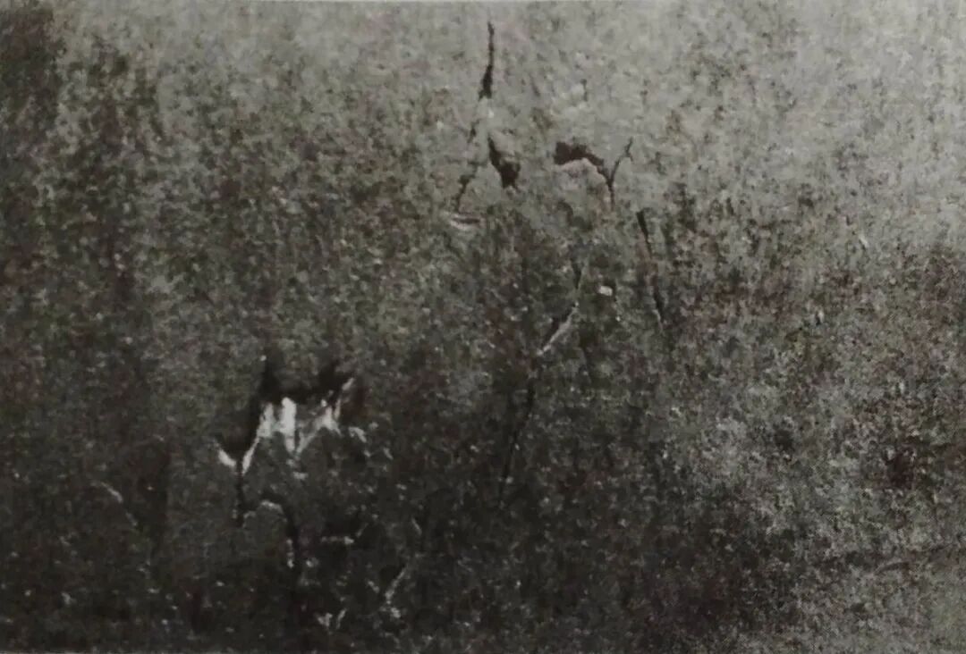 热轧钢板缺陷——钢板裂纹实例分析图