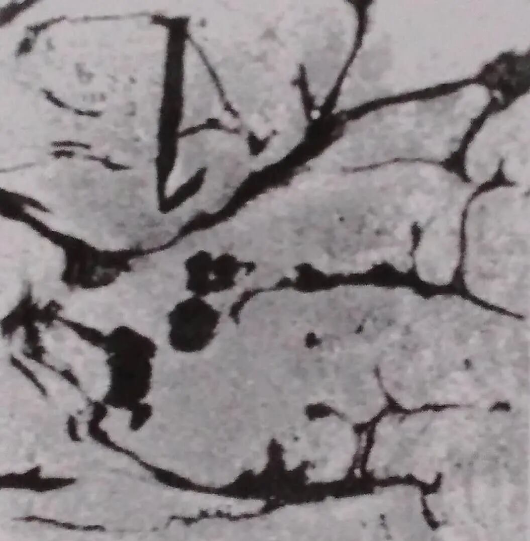 热轧钢板缺陷——钢板裂纹实例分析图