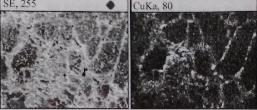 热轧钢板缺陷——钢板裂纹实例分析图