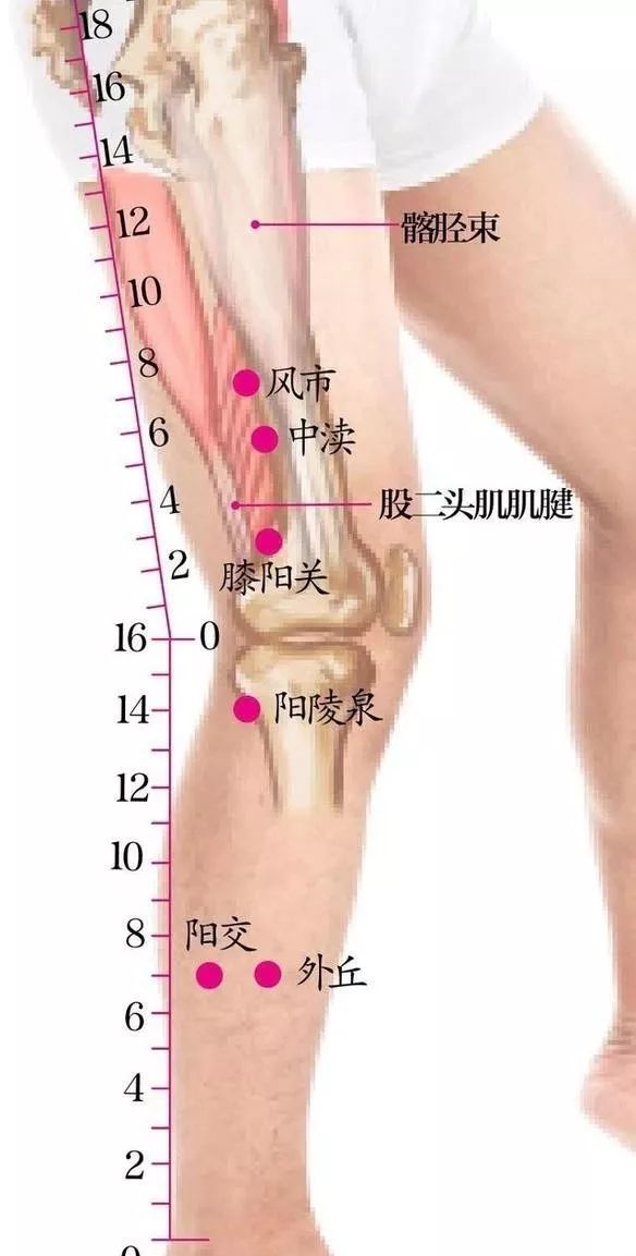 人体共409穴位 这8个穴位尤其重要 是脏 腑 气 血汇聚之地 学经络 微信公众号文章阅读 Wemp