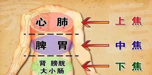 三焦不通老得快！快看看你的三焦堵到什么程度！