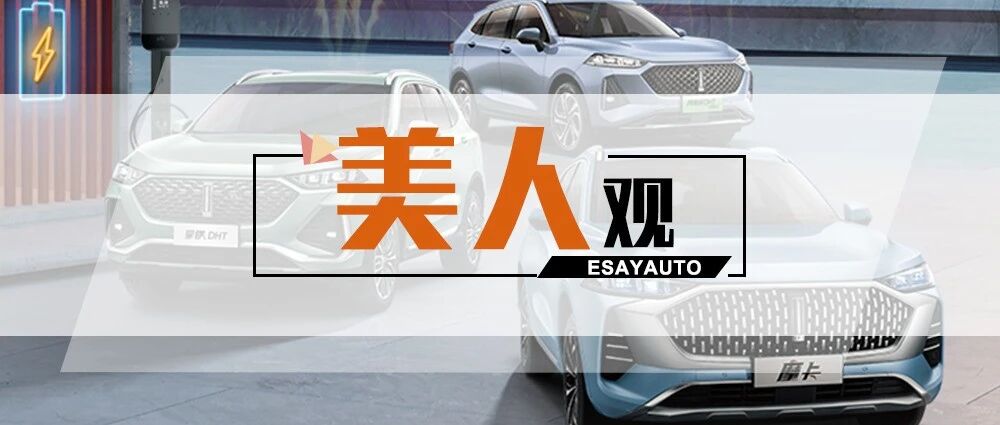 销量连跌，魏牌陷入“优等生焦虑”