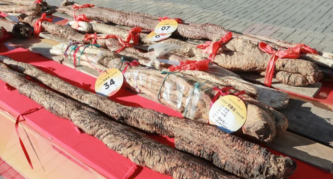 _徽商大会是谁举办_无锡太湖花都举办签约大会