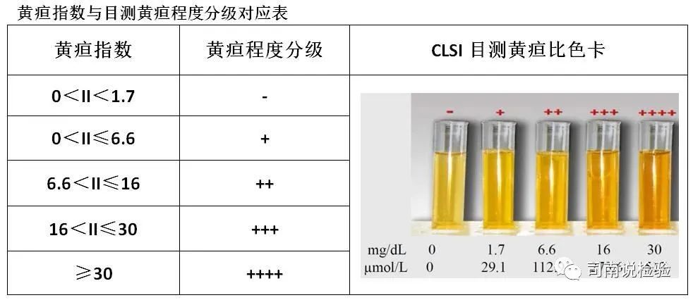临床检验中，如何准确识别血清/血浆标本状态？